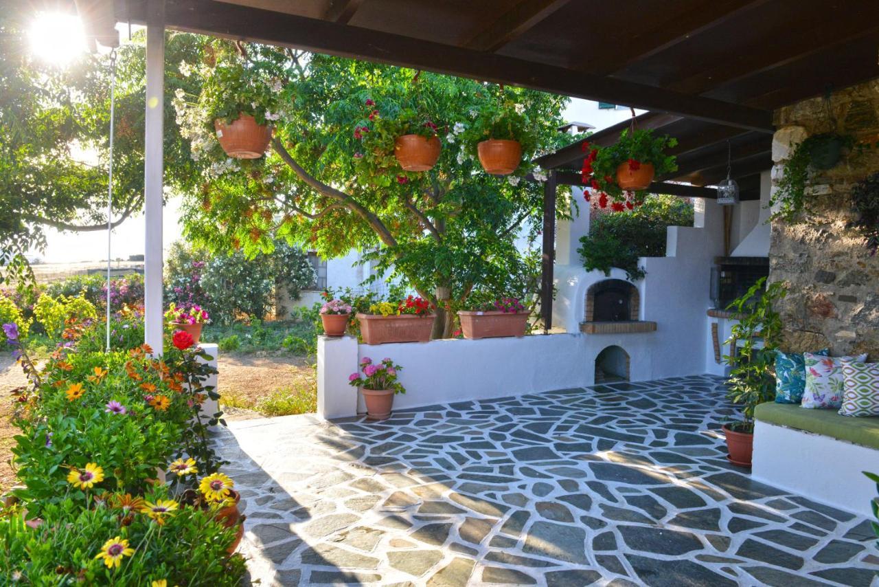 Villa Ktima Dimitrios Naxos City Exterior foto