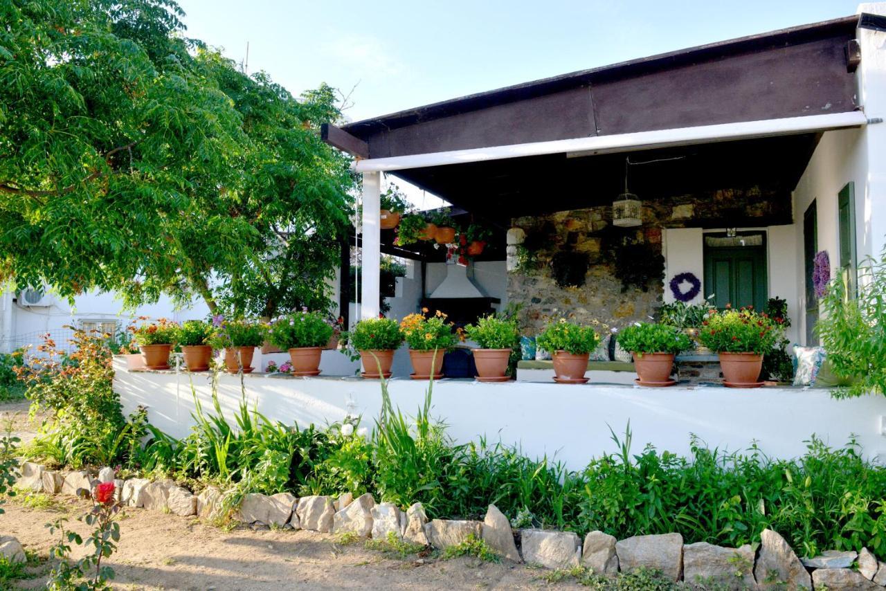 Villa Ktima Dimitrios Naxos City Exterior foto